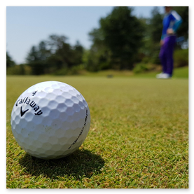 Teamtaschen einer bekannten Marke